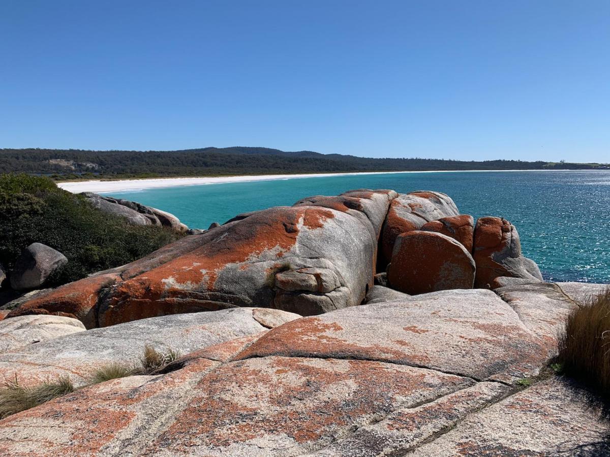 Вилла Bay Of Fires Great Escape Binalong Bay Экстерьер фото