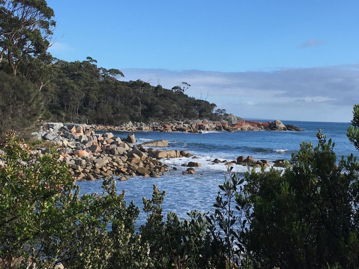 Вилла Bay Of Fires Great Escape Binalong Bay Экстерьер фото