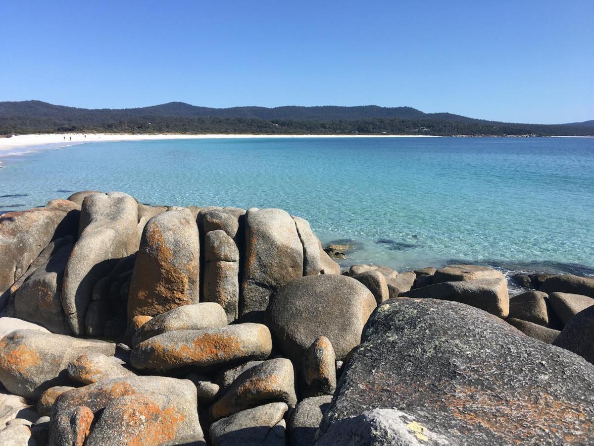 Вилла Bay Of Fires Great Escape Binalong Bay Экстерьер фото